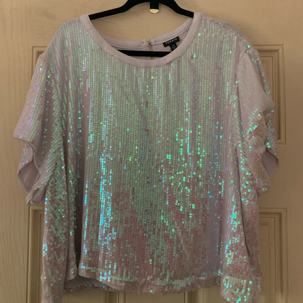 Iridescent Sequin Crop Top